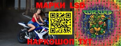 тгк Будённовск